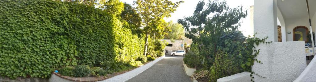 Zahrada ubytování Villa Thomas BB conduzione familiare