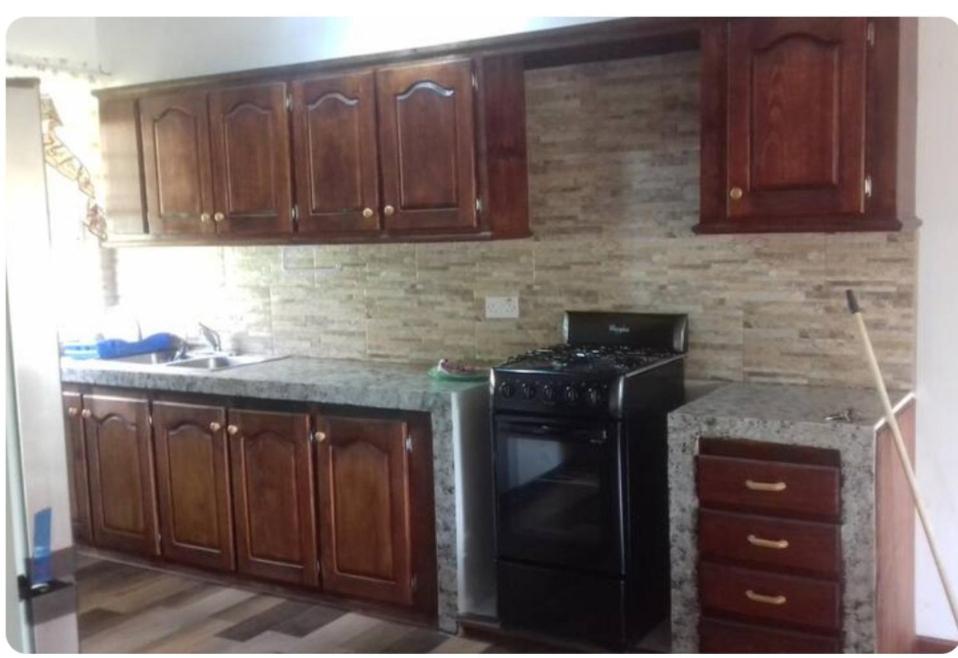 Kuchyň nebo kuchyňský kout v ubytování Habitat Apartments