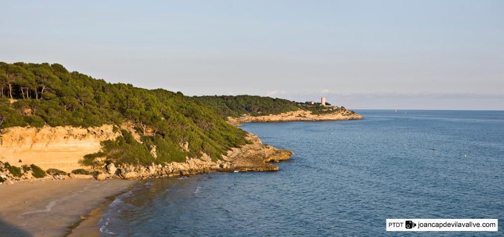 Príroda v okolí dovolenkového domu