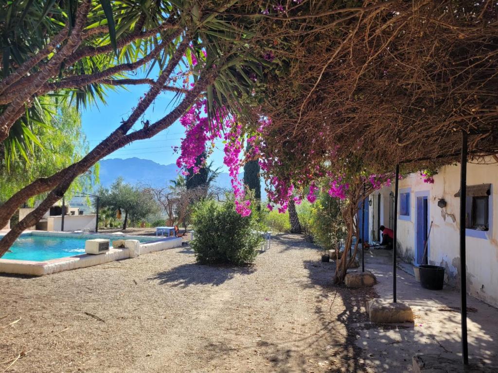 Πισίνα στο ή κοντά στο Cortijo Las Gallardas en Almería