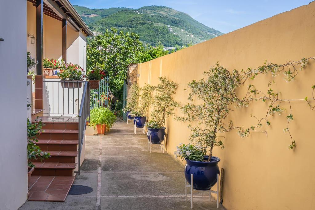 Nespecifikovaný výhled na hory nebo výhled na hory při pohledu z bed and breakfast