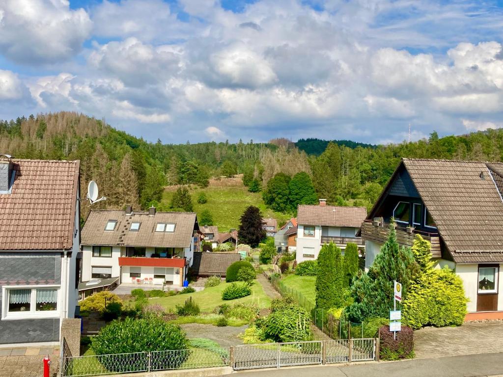 アルテンアウにあるHaus Wilmaの家屋と山のある小さな村