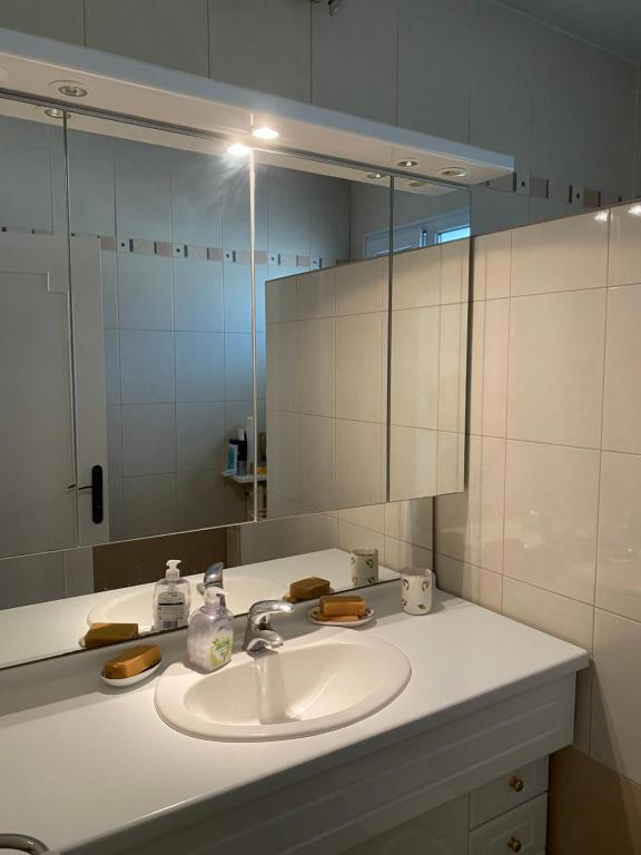 une salle de bain avec un lavabo et un miroir dans l'établissement Maison 5min du centre ville, à Avignon