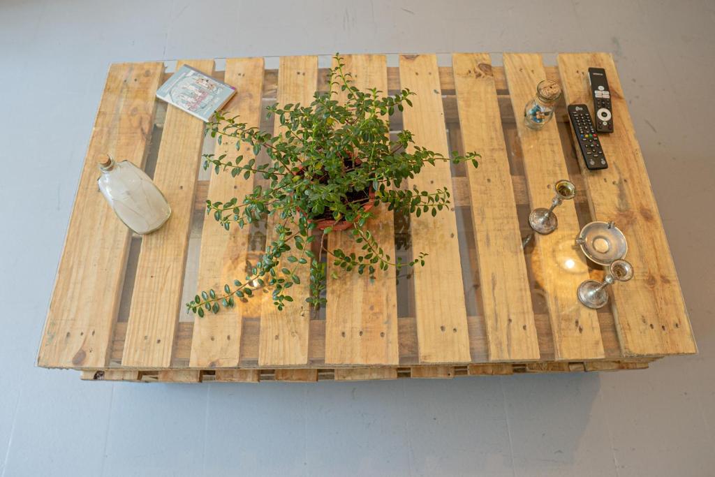Fotografie z fotogalerie ubytování Laureles Garden Hostel v destinaci Medellín