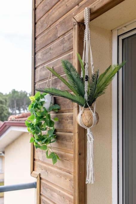 Fotografie z fotogalerie ubytování Appartement des grands lacs v destinaci Sanguinet