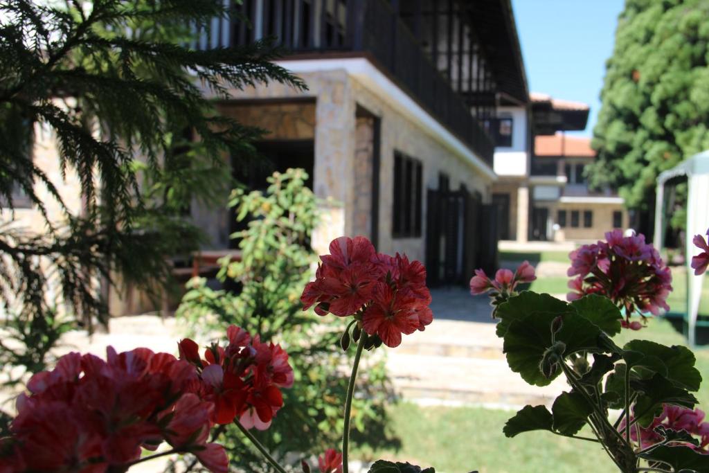 a group of flowers in front of a house at Къщи за гости Кедър in Dolna Banya