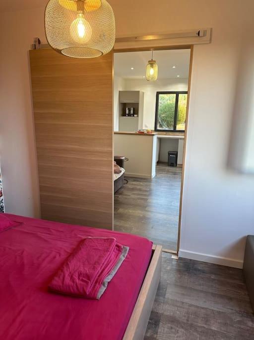- une chambre avec un lit doté d'une couverture rose et d'un miroir dans l'établissement Appartement vue mer 5 min de la plage, à Cargèse