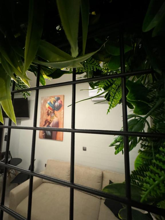 Baja Suites - Resim 15