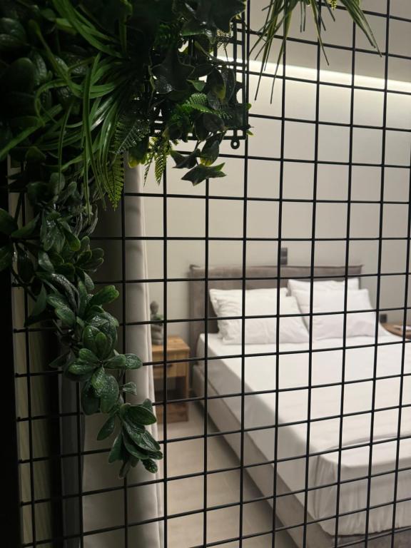 Baja Suites - Resim 31