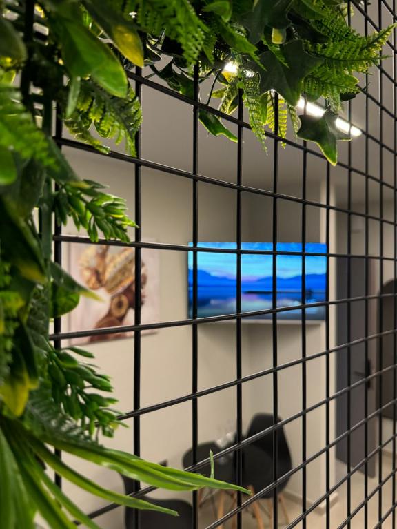 Baja Suites - Resim 1