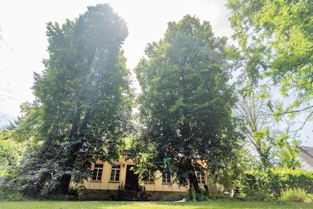 Zahrada ubytování Villa Bergmann