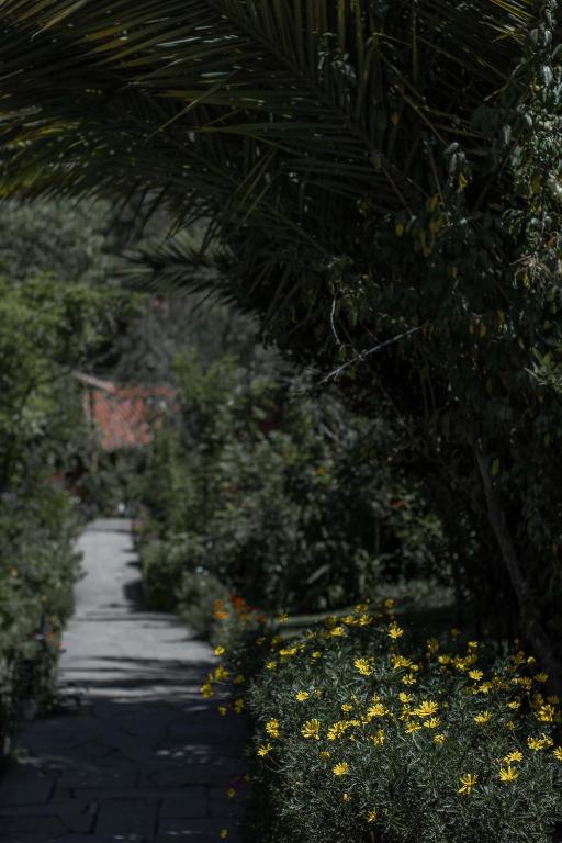 Giardino di Andean Wings Valley