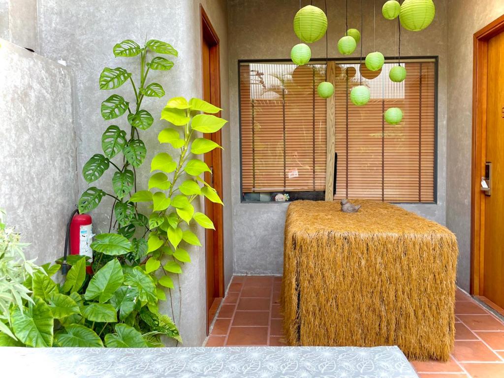 Fotografie z fotogalerie ubytování 5-homestay I v destinaci Vũng Tàu