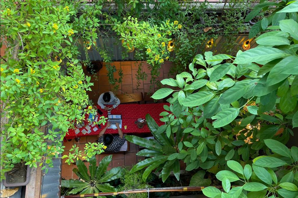 Zahrada ubytování 5-homestay I