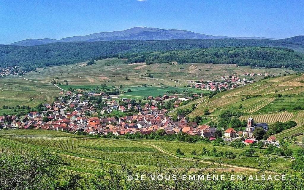 Photo de la galerie de l'établissement gites du bel Alsace cote vignoble, à Westhalten
