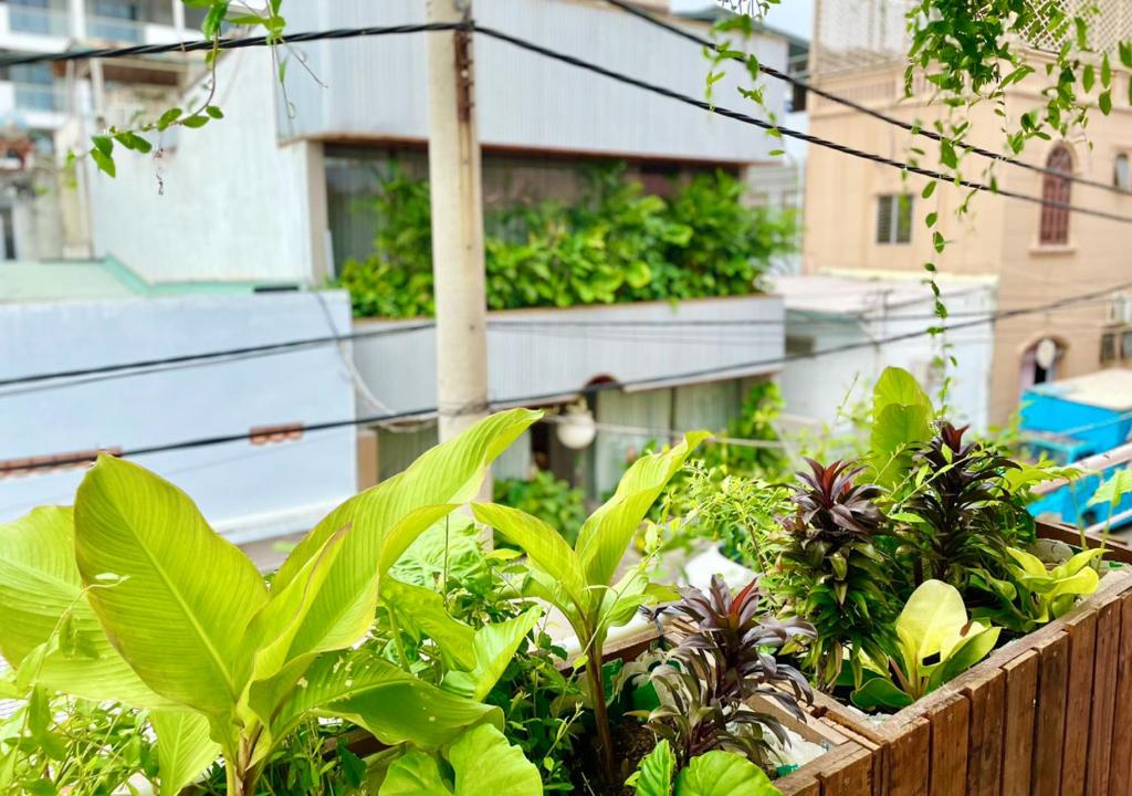 Zahrada ubytování 5-homestay I