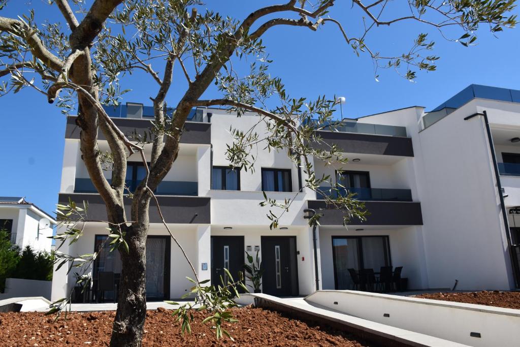 an apartment building with a tree in front of it at Apartments Rismondi 37D in Fažana
