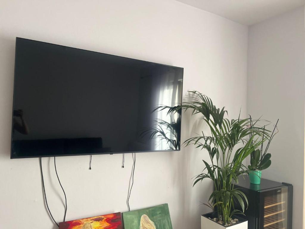TV a/nebo společenská místnost v ubytování Guest House Durres