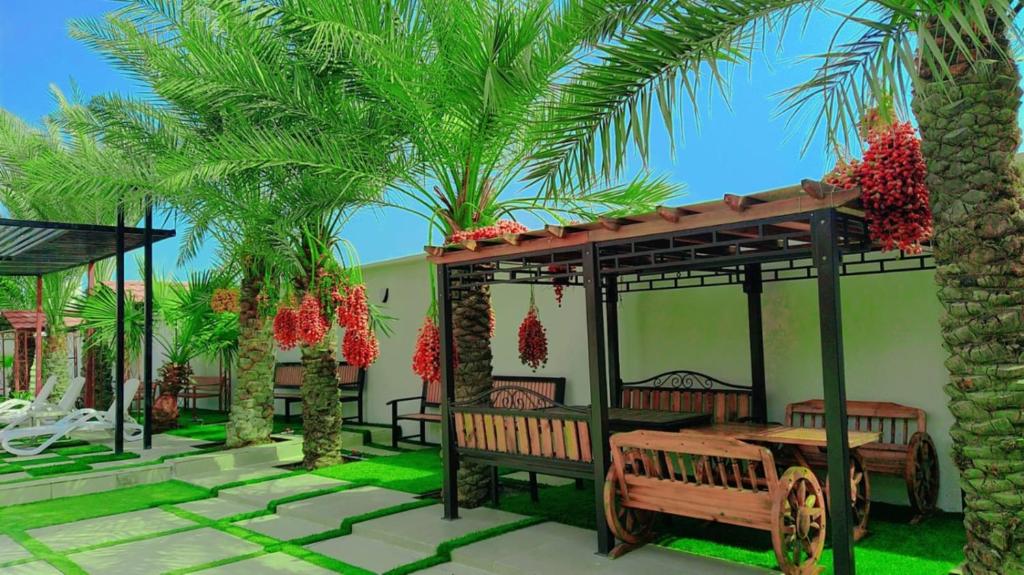Zahrada ubytování AlZaeem Resort & Hotels