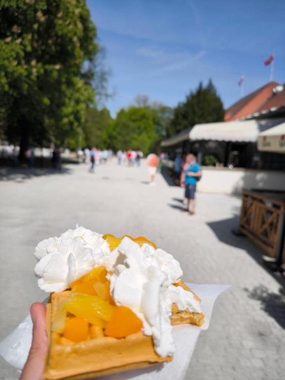 Jedlo v apartmáne alebo blízkom okolí