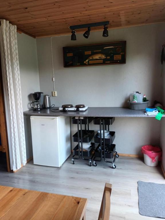Kuchyň nebo kuchyňský kout v ubytování Torne Camping - Kano & Fiskecamp