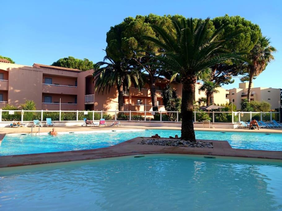 un palmier au milieu d'une piscine dans l'établissement Appartement T2 avec piscine mer, à Vallauris