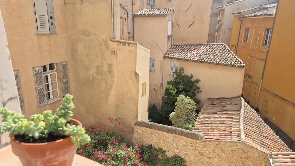 - une vue sur une ruelle avec des plantes et des bâtiments dans l'établissement Studio de charme hypercentre d'Aix, à Aix-en-Provence