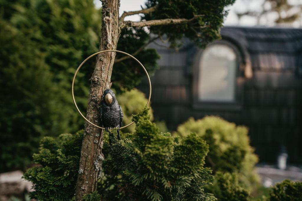 Zahrada ubytování IGLOO SPA - privátní wellness u Plumlovské přehrady