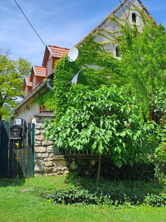 Andante Vendégház 8245 Vászoly, Jókai u.3. kép - 1
