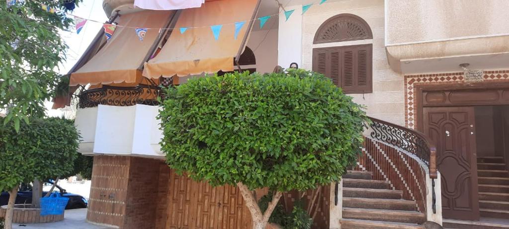 Gallery image of Ras El Bar in Ras El Bar