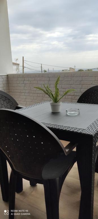 a black table with a potted plant on it at Apartamentos Bolonia - M a n u e l a in Bolonia