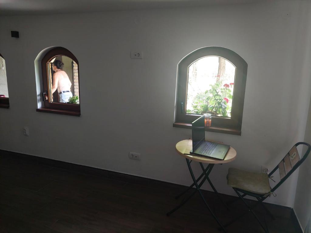 Fotografie z fotogalerie ubytování Mirni kutak v destinaci Bački Petrovac