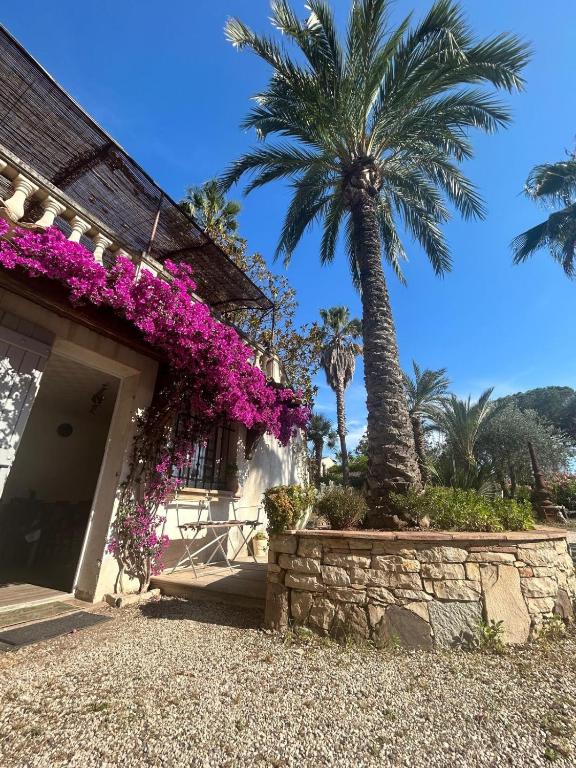 une maison avec des fleurs violettes et un palmier dans l'établissement Les palmiers, à Fréjus