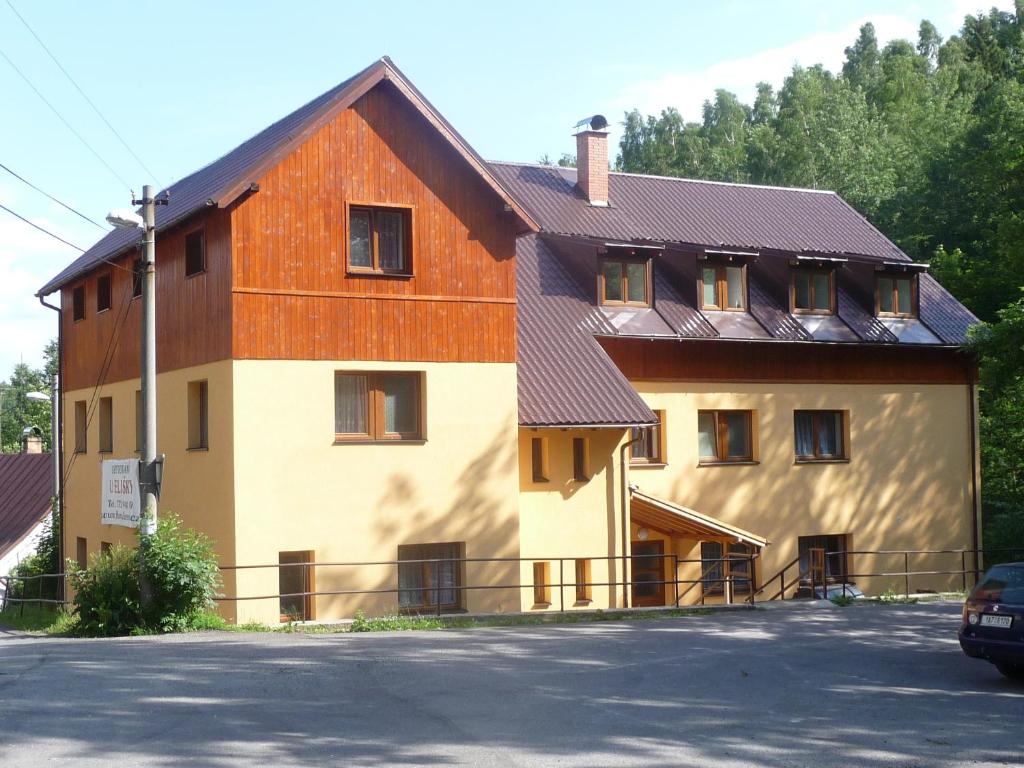 een groot huis met een bruin dak bij Penzion U Elišky Bedřichov V Jizerských Horách in Bedřichov