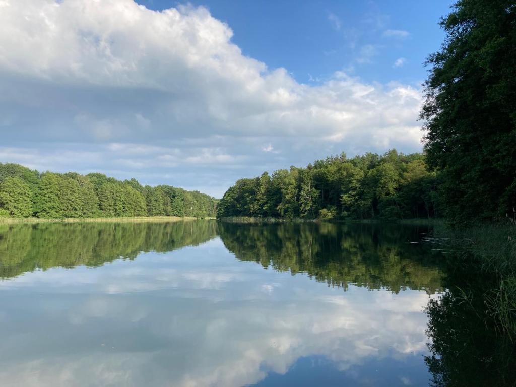 a view of a river with trees and clouds in the water at Nad Isągiem in Łukta