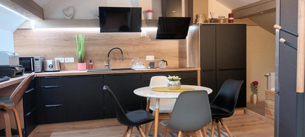 Una cocina o zona de cocina en Měšťanský dům - kulturní památka Mlýnská 119
