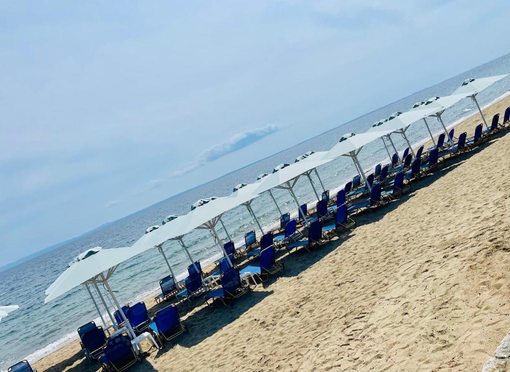 Příroda nedaleko hotelu