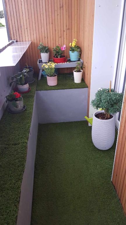 un groupe de plantes en pot assises sur un balcon dans l'établissement Vendee Globe 2024, à Les Sables-dʼOlonne