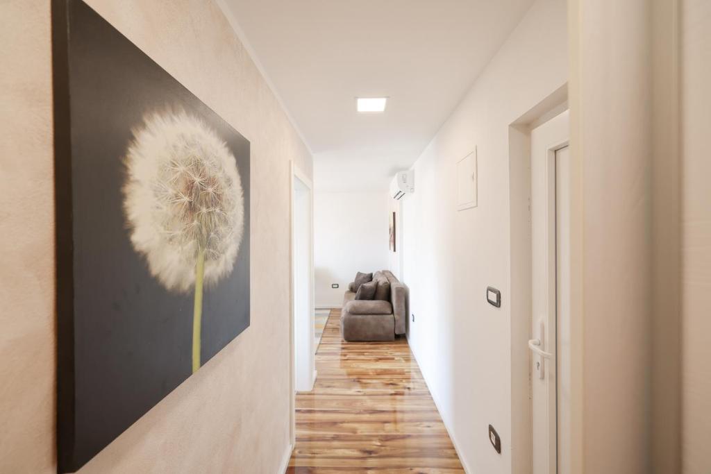 Fotografia z galérie ubytovania Apartment Anita v destinácii Zadar