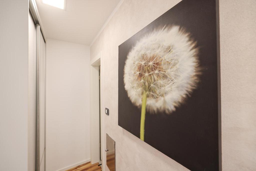 Fotografia z galérie ubytovania Apartment Anita v destinácii Zadar