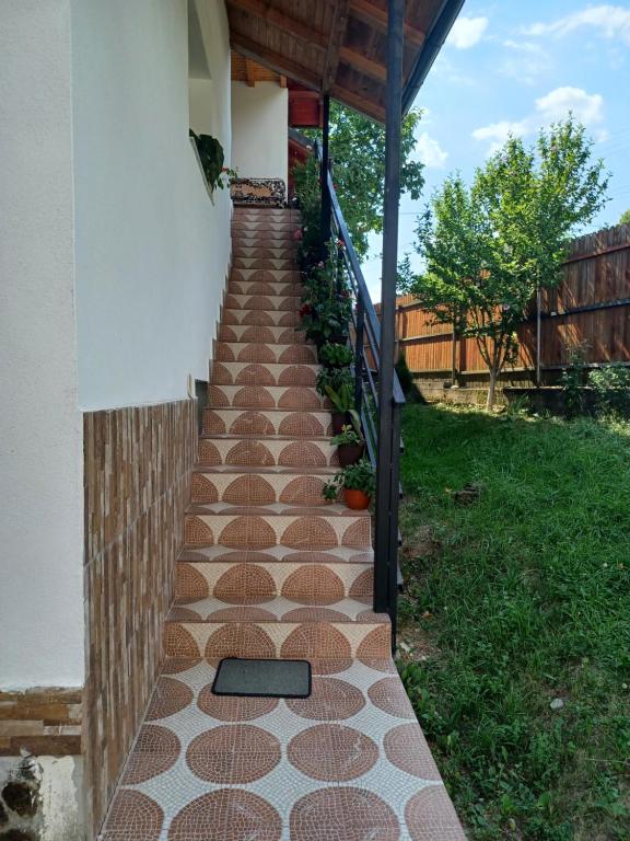 Fotografie z fotogalerie ubytování Casa Mariana - Comuna Arefu, Transfăgărășan v destinaci Căpăţîneni-Ungureni
