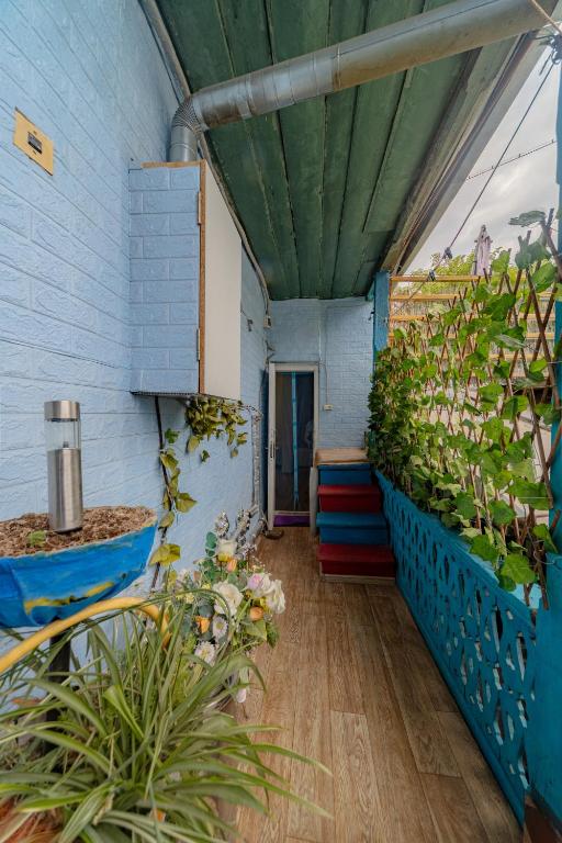 Zahrada ubytování Guest House Tabukashvili 31