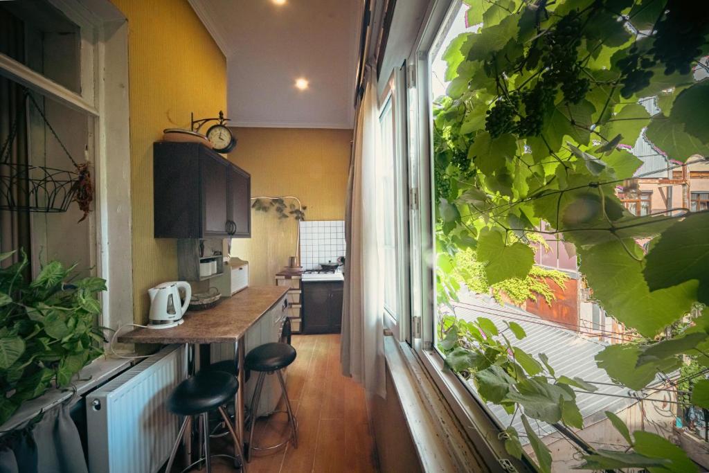 Fotografie z fotogalerie ubytování Guest House Tabukashvili 31 v destinaci Tbilisi City