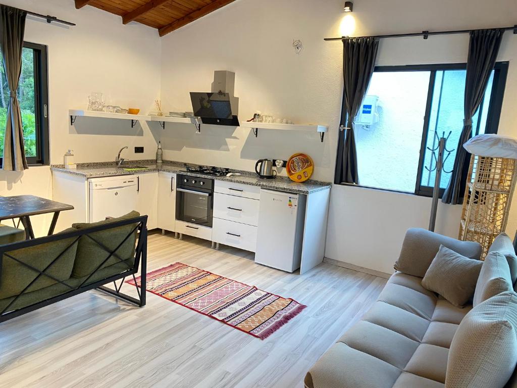 Kuchyň nebo kuchyňský kout v ubytování Zirkon Valley Boutique Hotel