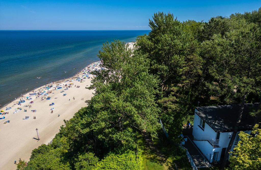 Przyroda w pobliżu tego apartamentu