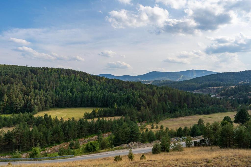a road in the middle of a valley with trees at Family 4M in Zlatibor