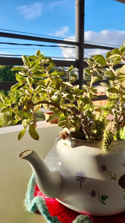 Hospedaje Navarro Dpto N3 matrimonial