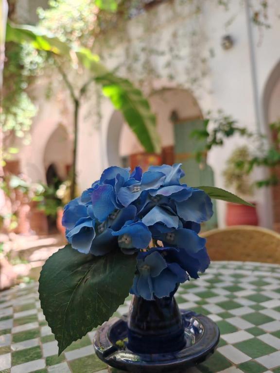 Zahrada ubytování Riad maison Bounouar