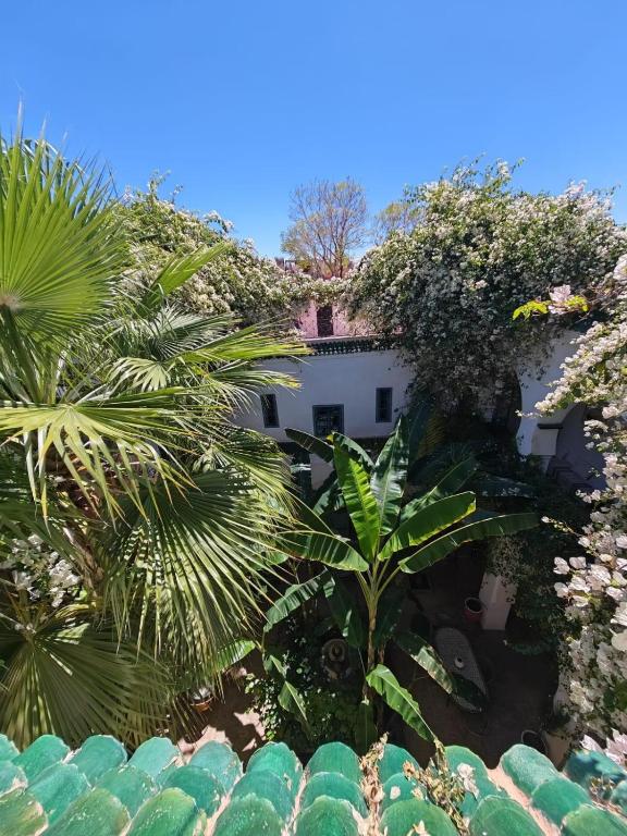 Zahrada ubytování Riad maison Bounouar