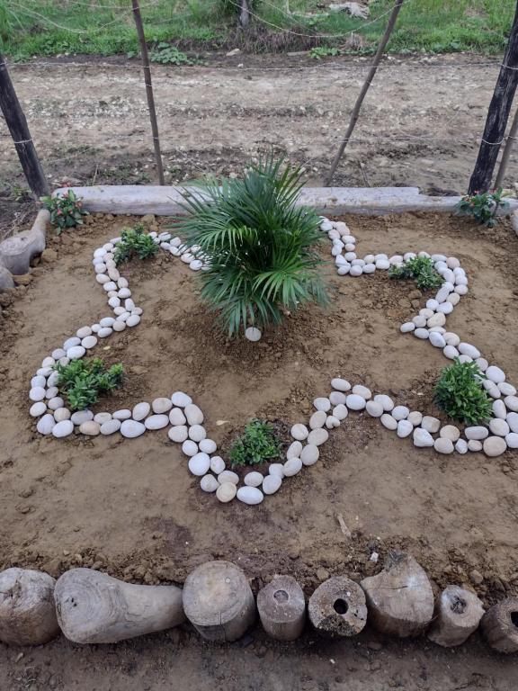 Zahrada ubytování La playita